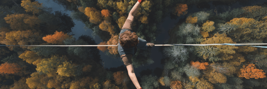 The Balanced Scorecard